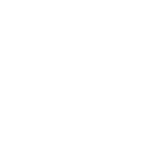 Icon 06