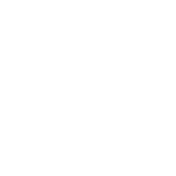 Icon 05