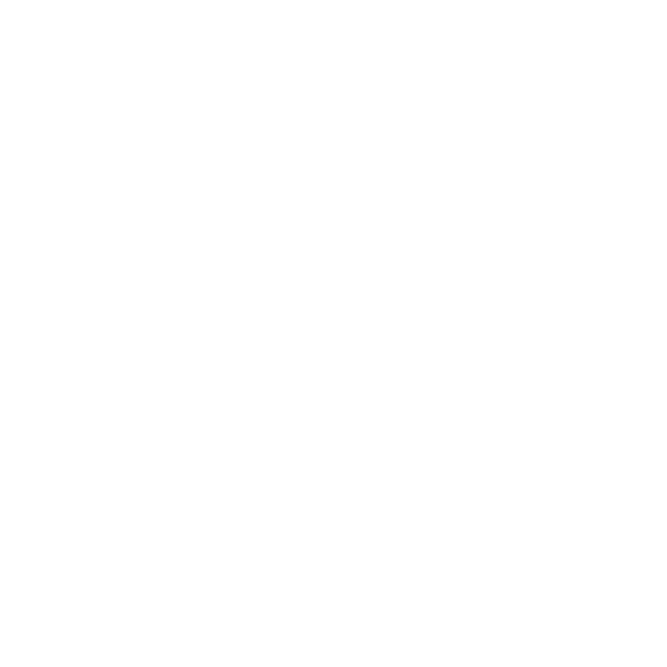 Icon 01