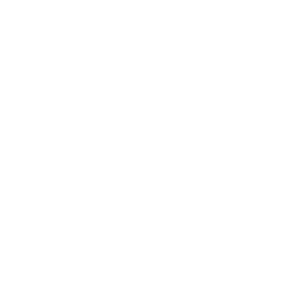 Icon 03