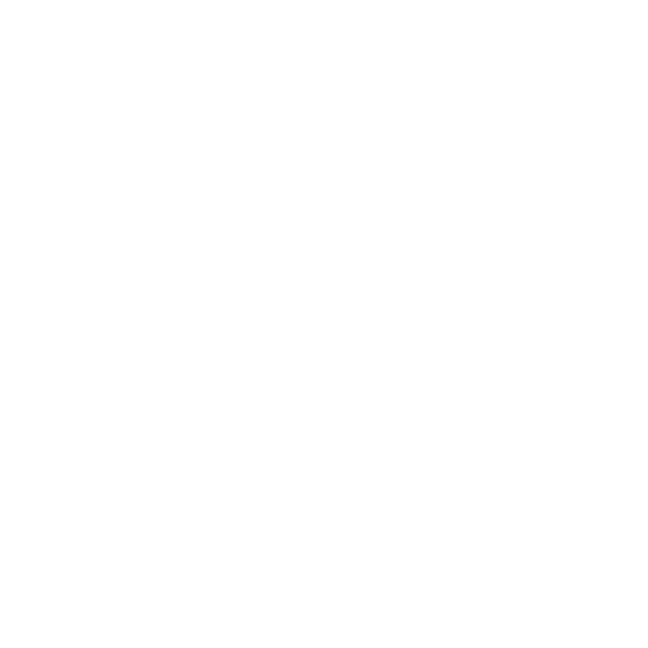 Icon 04