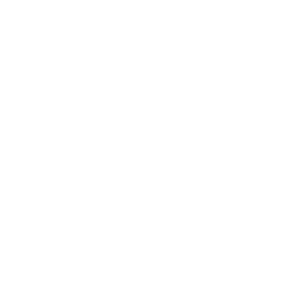 Icon 02